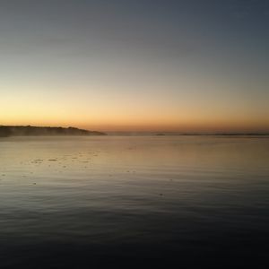 Meet your Posher, Barry